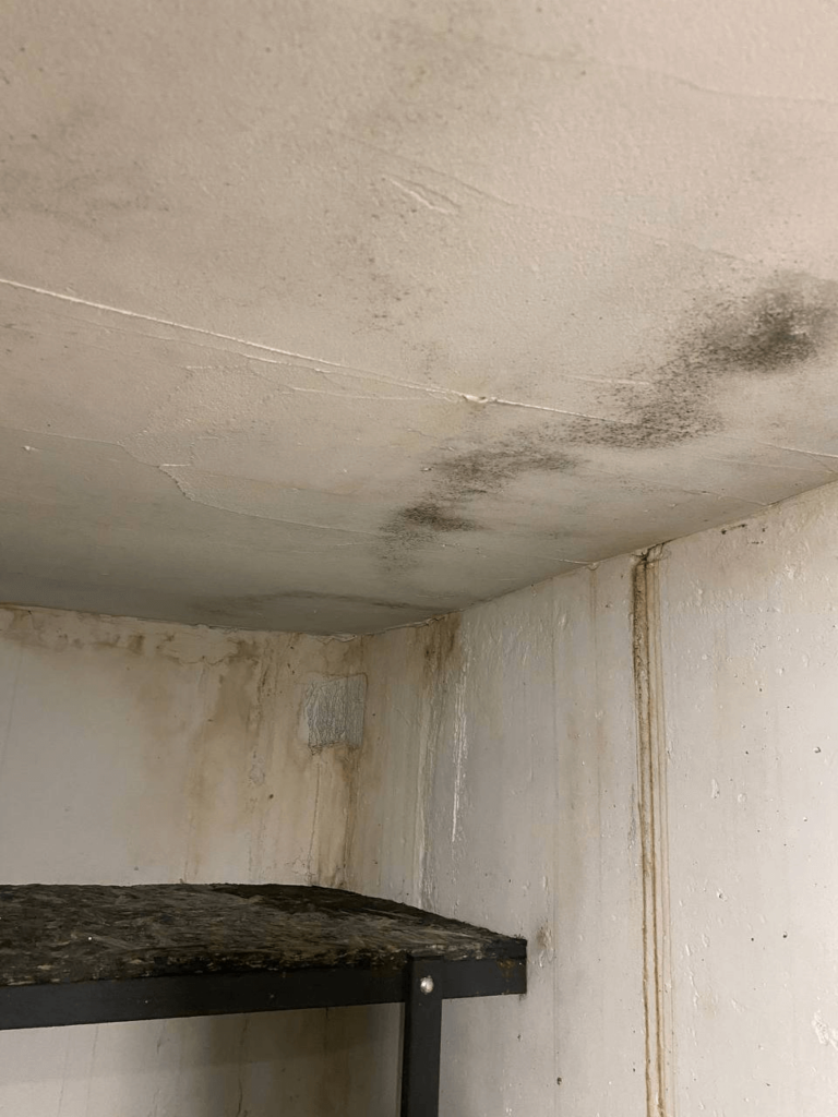 Цвіль на стелі в кутку приміщення через підвищену вологість